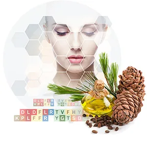Maximizing the Benefits of Natural Plant Extracts: A Guide to Use 1 Natural Plant Extracts