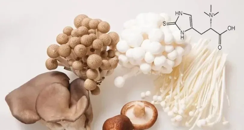 Ergothioneine Zhonghong