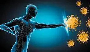 Protect Your Immune System