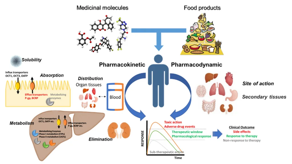 Blue Spirulina Powder: Health Benefits, Applications, Production Excellence, and Market Leadership 4 8e10001