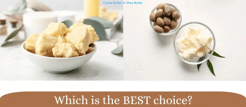 Cocoa Butter vs Shea Butter: A Comprehensive Guide to Natural Skin Care 3 Cocoa Butter vs Shea Butter
