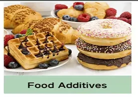 Food Additives 1
