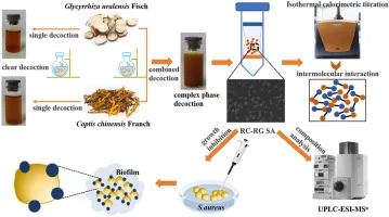 Isatis indigotica Fort Extract: Natural Immune Support Backed by Science 3 Isatis Indigotica Fort Extract Applications
