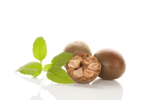 Monk Fruit Sweetener Monk Fruit Sweetener