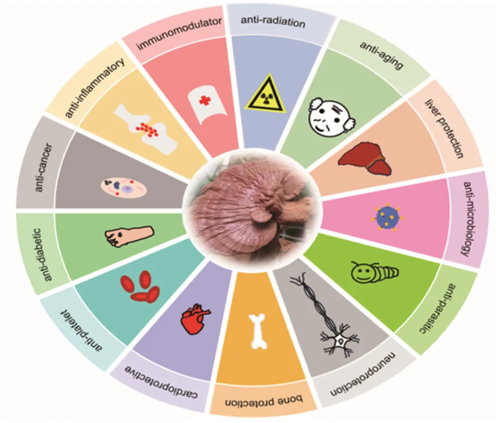 Ganoderma Triterpenes Ganoderma Triterpenes