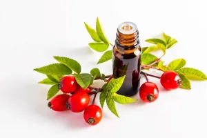 Rosehip Oil zhonghong