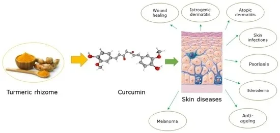 Liposomal Curcumin Liposomal Curcumin