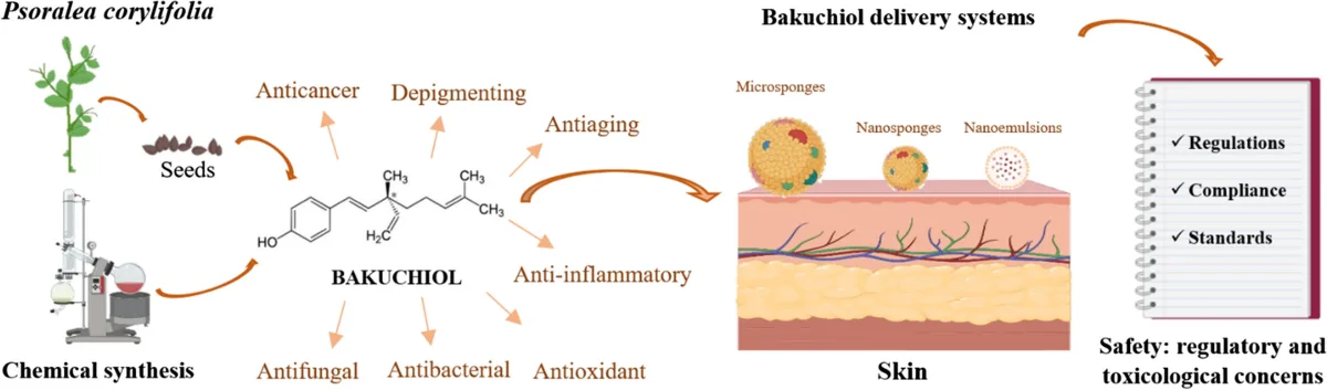 bakuchiol aiherbm