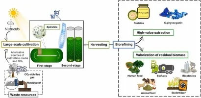 Unveil the anti-aging codes of 10 super ingredients! The 'youth key' that both the scientific and industrial communities are competing for 4 Blue Spirulina Production Quality Control Chart