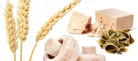 The Top 5 Health Benefits of Yeast-Derived Beta-Glucan Powder 6 yeast beta glucan powder 1