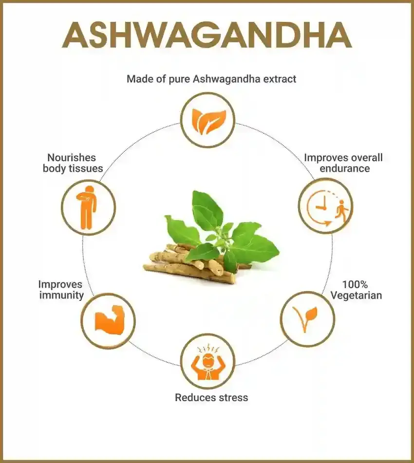 Ashwagandha Benefits zhonghong