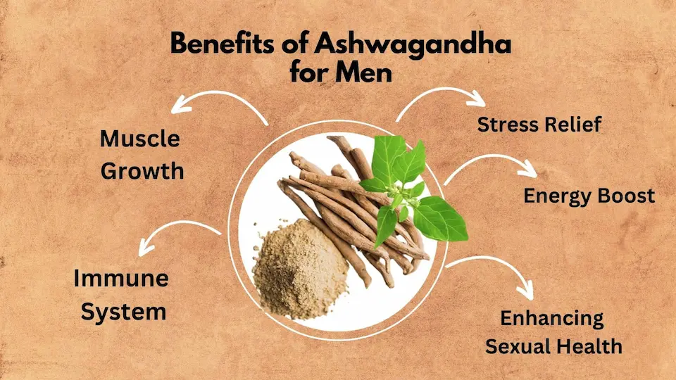 ashwagandha-zhonghong