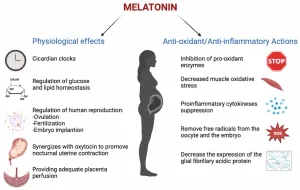 Home 34 Melatonin Benefits