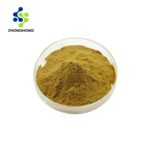 Olive Leaf Extract